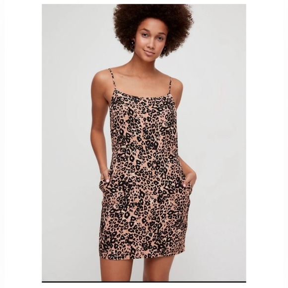 Wilfred Dresses & Skirts - Wilfred Isabelle Leopard Print Mini Dress with pockets  - Tan and Black